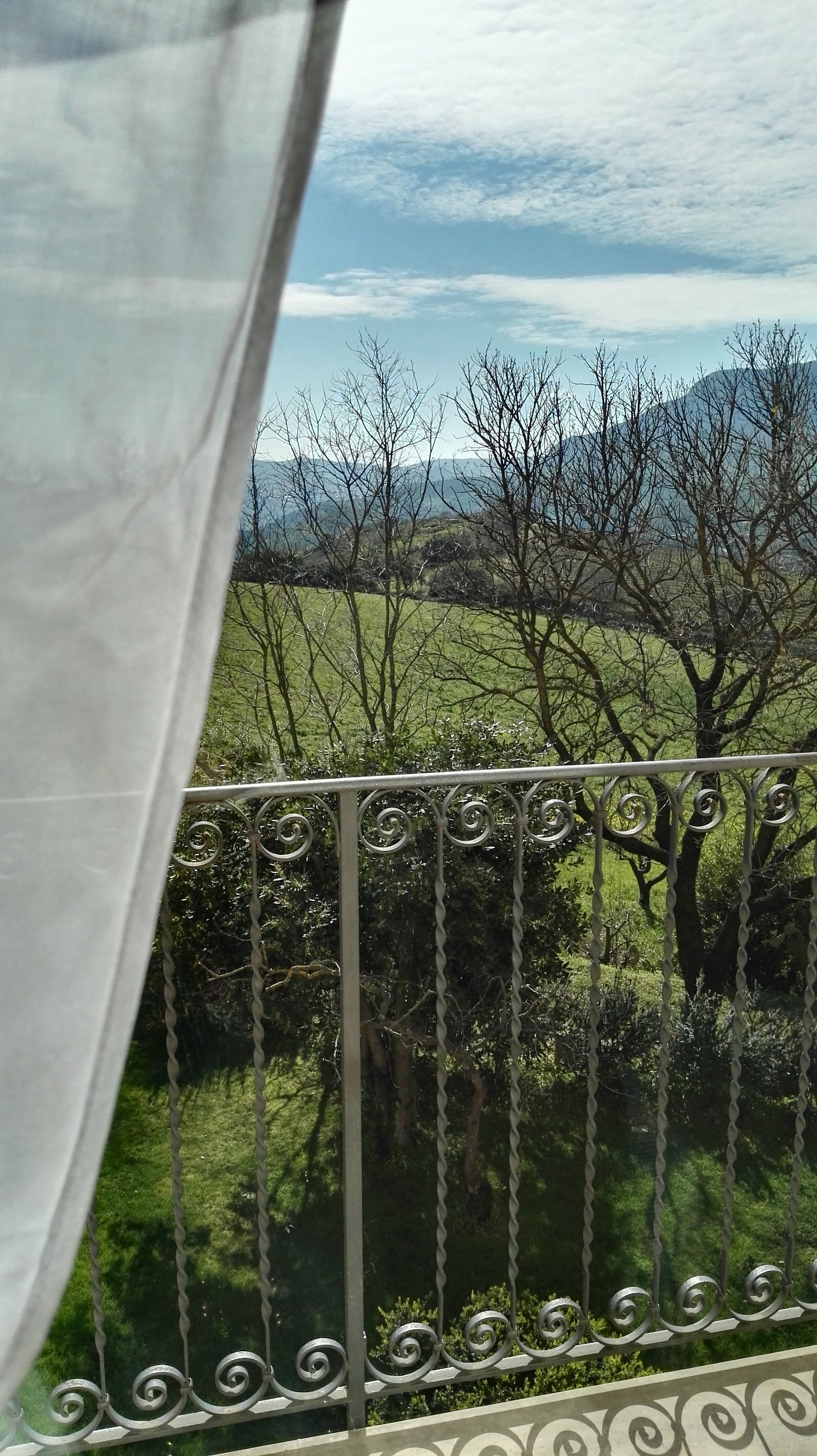 junior suite | view from room