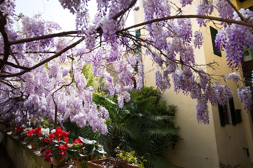 Locanda Orchidea - B&B