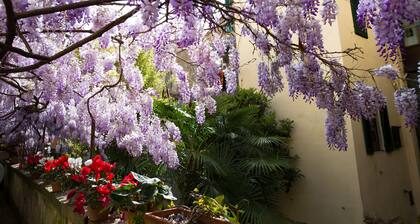 Locanda Orchidea - B&B