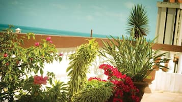 Terraza en la azotea