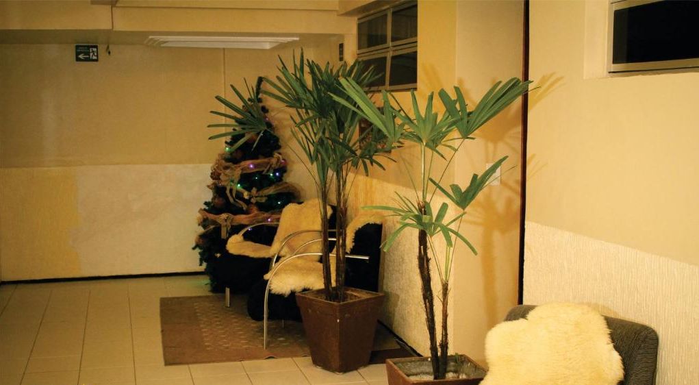 A hotel lobby with a reception desk, several potted plants, and a Christmas tree.
