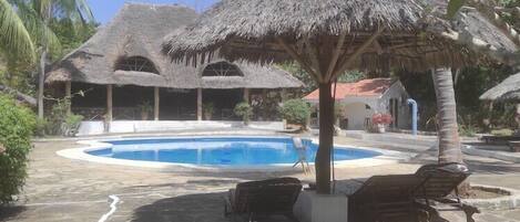 Outdoor pool, pool umbrellas, pool loungers