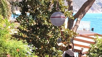 Jardín