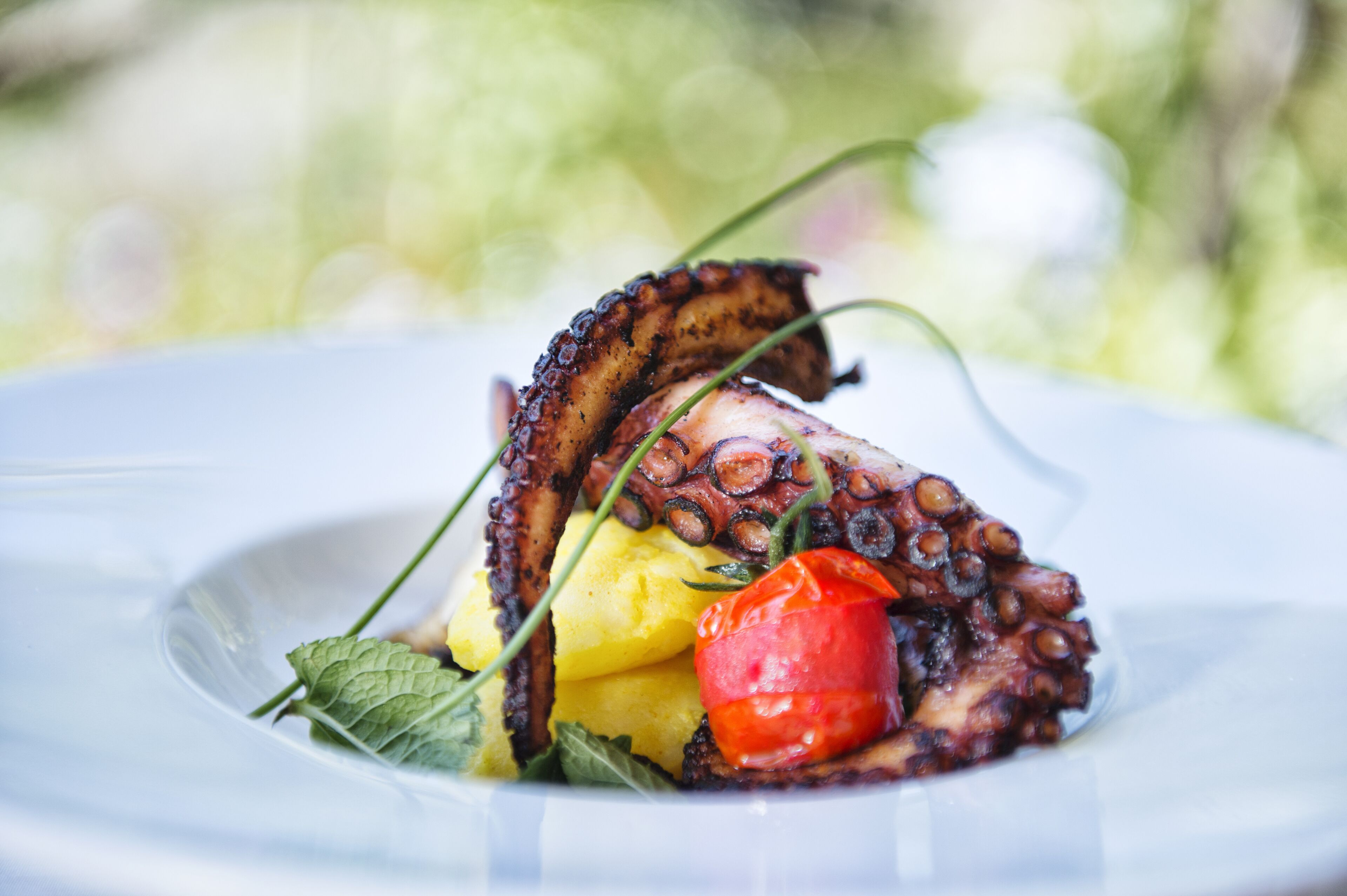 Ein Teller Essen mit Oktopus, Kartoffeln und einer roten Paprika.
