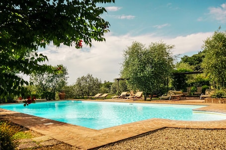 Seasonal outdoor pool, open 8 AM to 8 PM, pool umbrellas, sun loungers