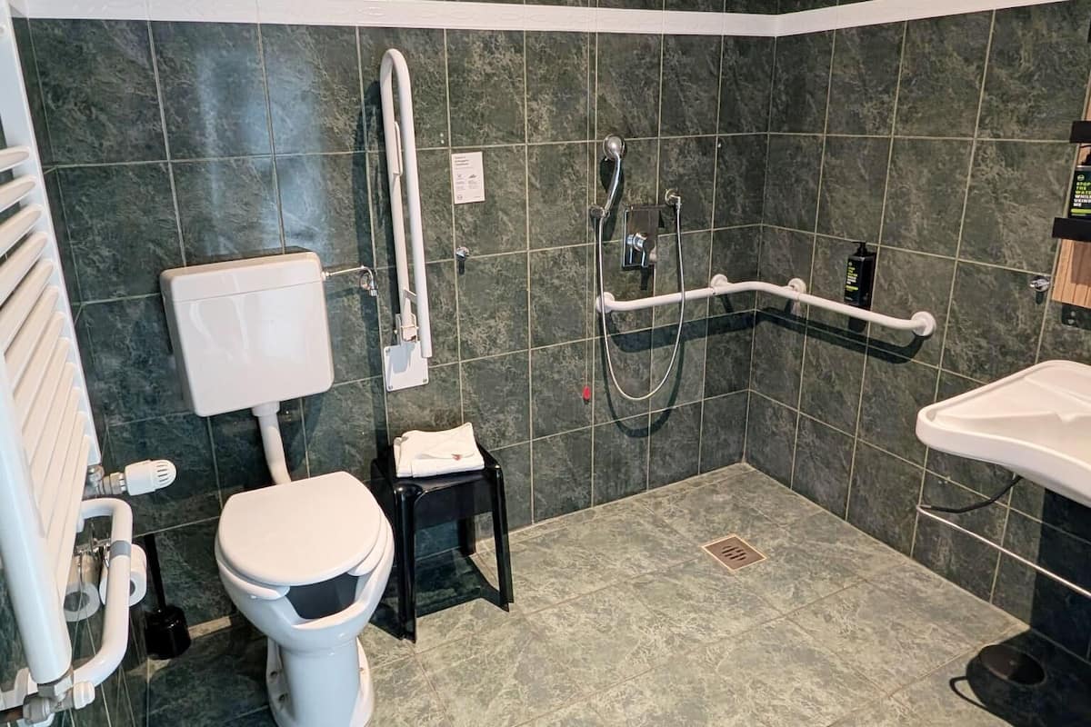 standard single room, accessible, non smoking | bathroom | shower, free toiletries, hair dryer, bidet
