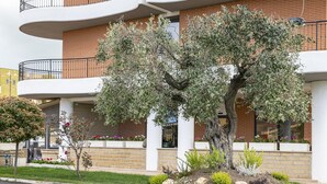 A multi-story building with balconies, a tree in the front yard, and flower beds. - B&B Hotel Pomezia Cortese (Pomezia)