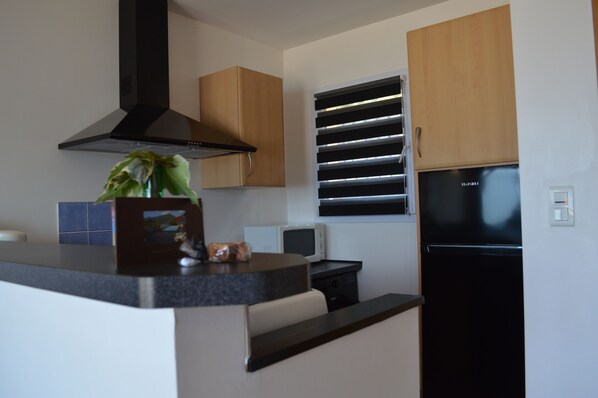 Una cocina moderna con estufa negra, microondas y refrigerador. Hay una ventana con persianas y una planta en la encimera.