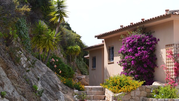 A hillside property with a stone staircase leading to a building with a tiled roof. - Résidence Terra Théa (Propriano)