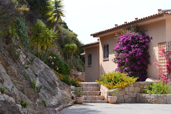 Garden view - Résidence Terra Théa (Propriano)