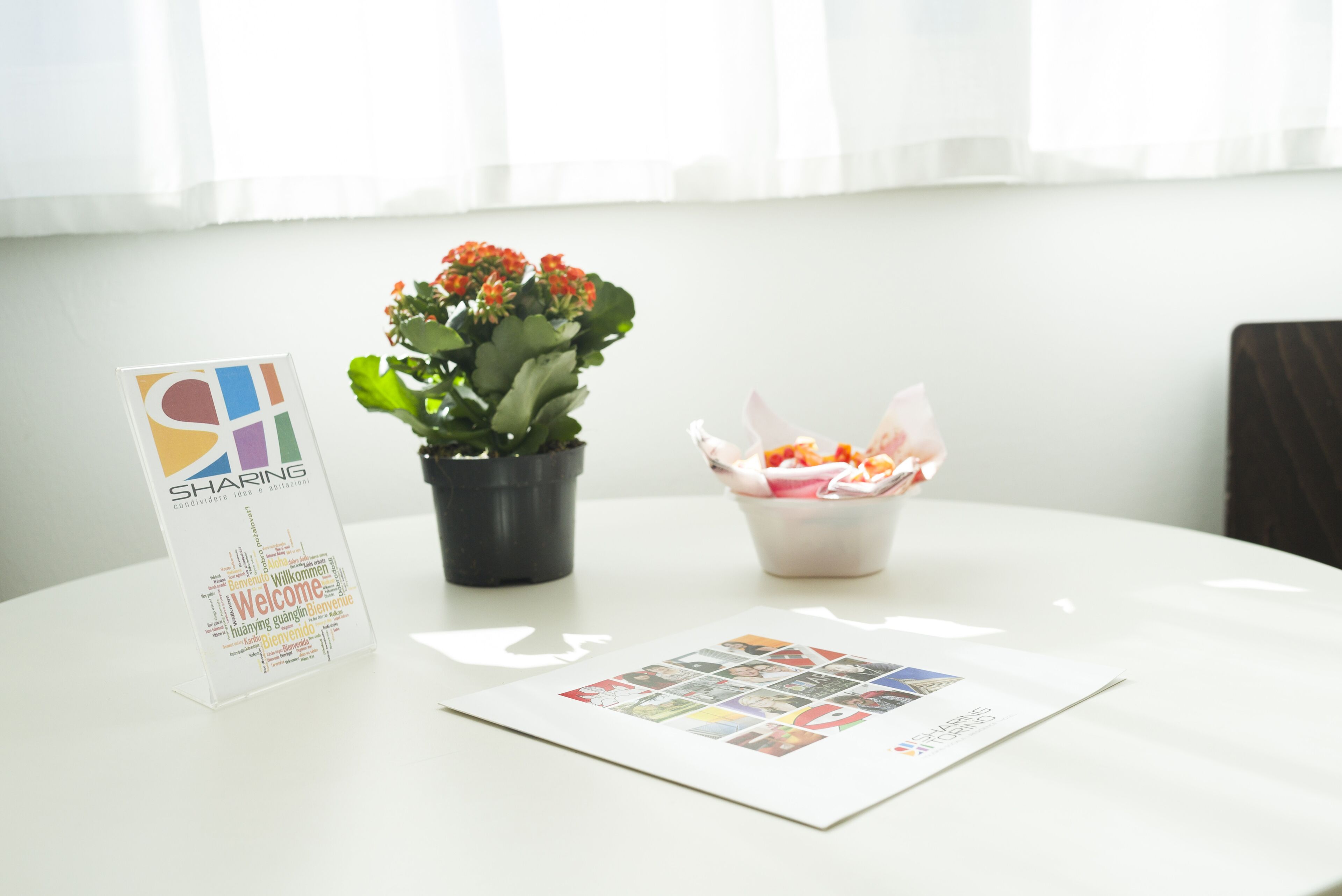 Une table blanche ornée d’une plante en pot, d’une pancarte d’accueil et d’une brochure.