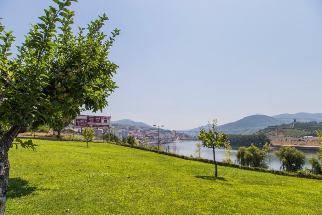 A grassy area with a tree and a signboard in the foreground, a river in the middle ground, and a cityscape with hills in the background.
