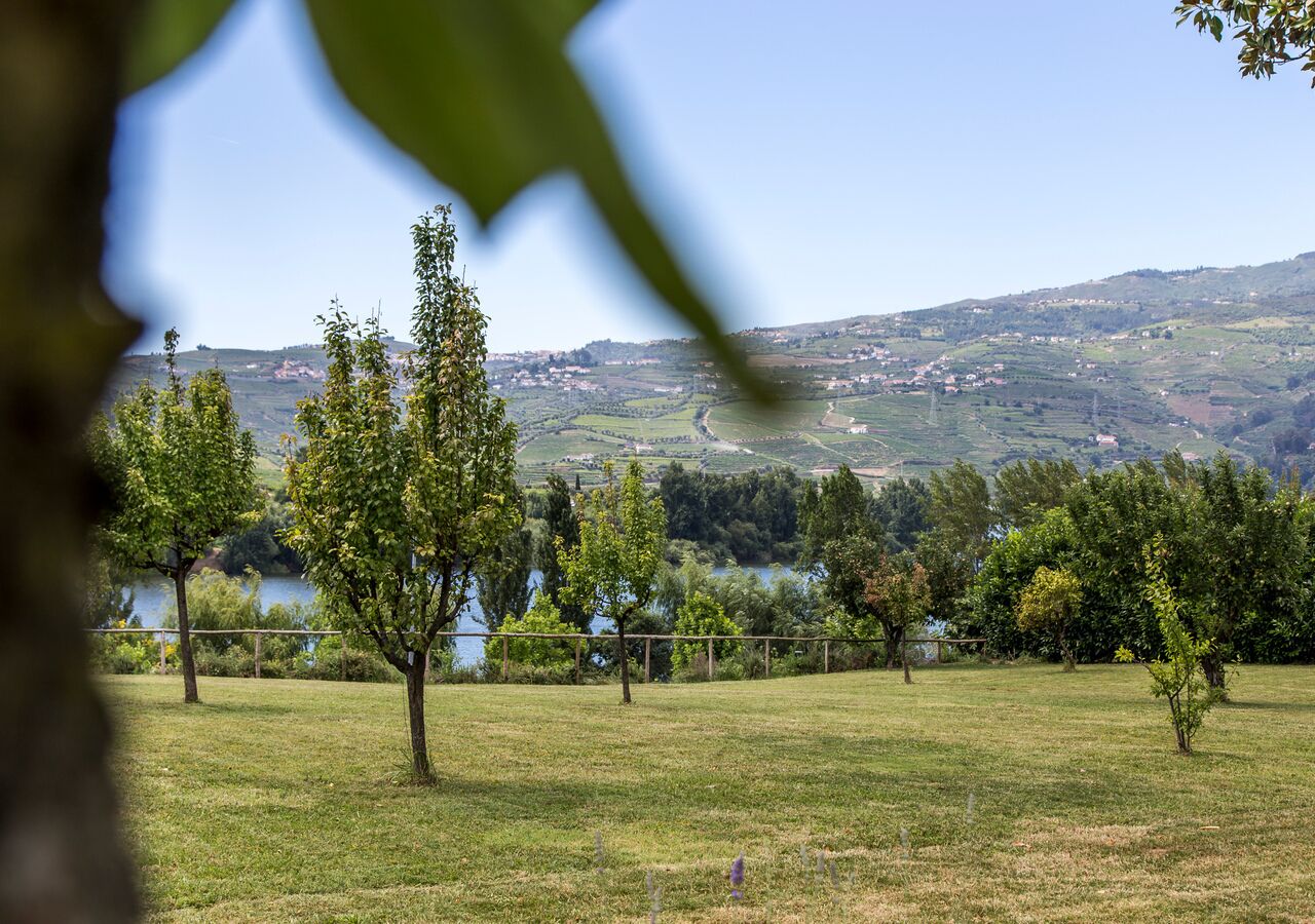 A grassy field with trees and a distant view of a hilly landscape.