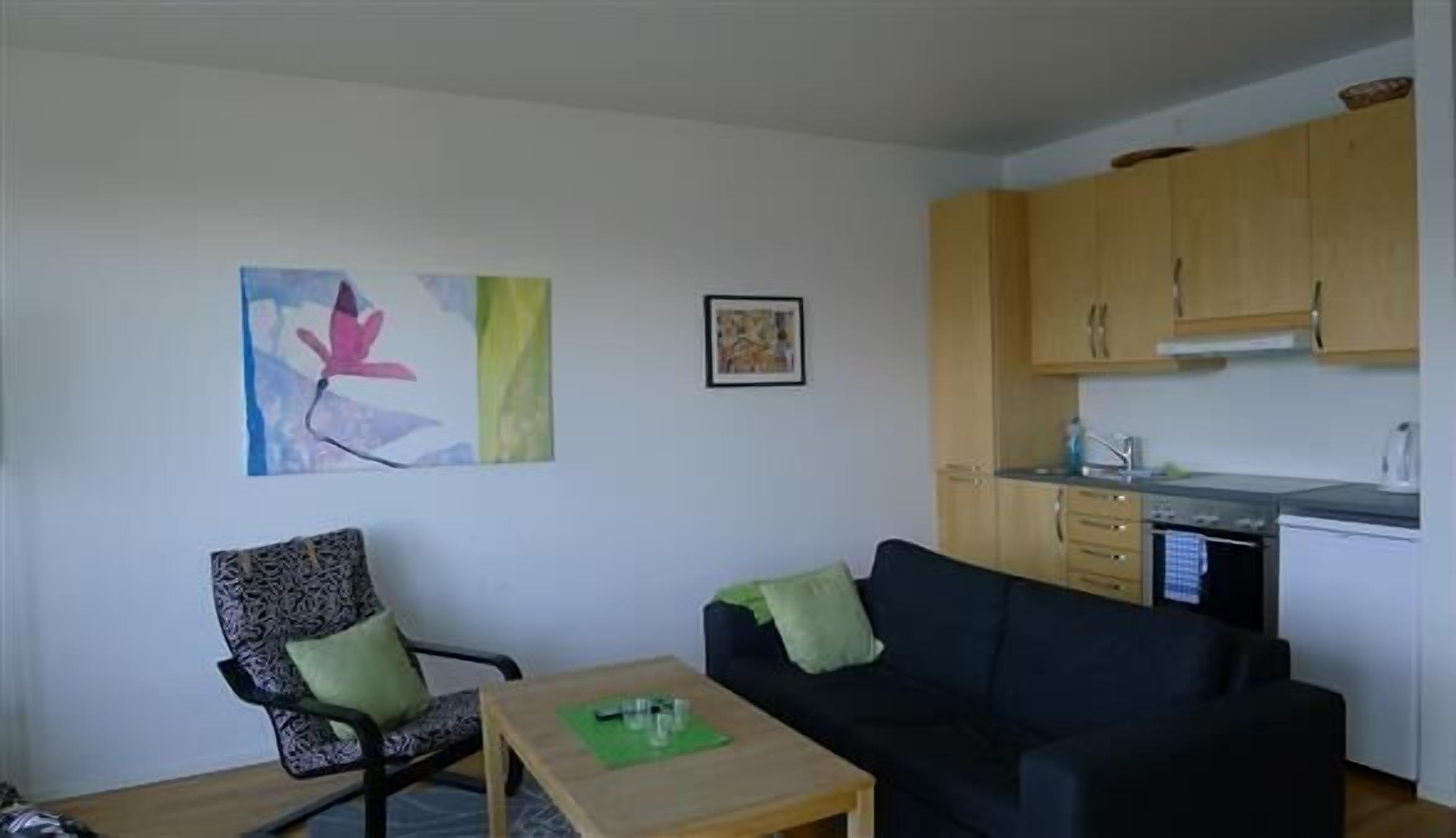 Sala de estar con un sofá negro, un sillón estampado y una mesita con un posavasos verde. Se observa una zona de cocina con armarios de madera y una encimera.