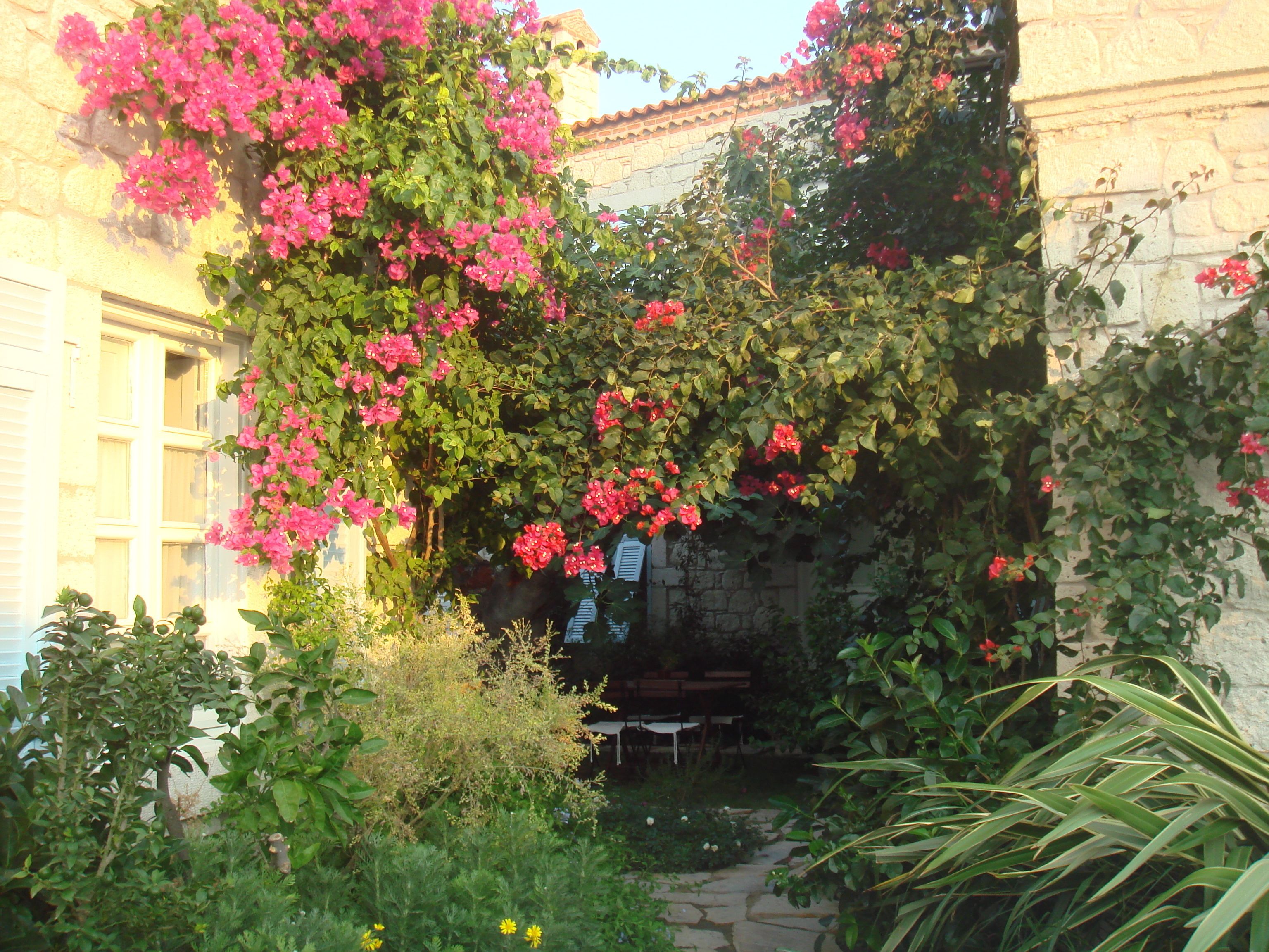 A garden with a stone wall, flowering plants, and a stone pathway.