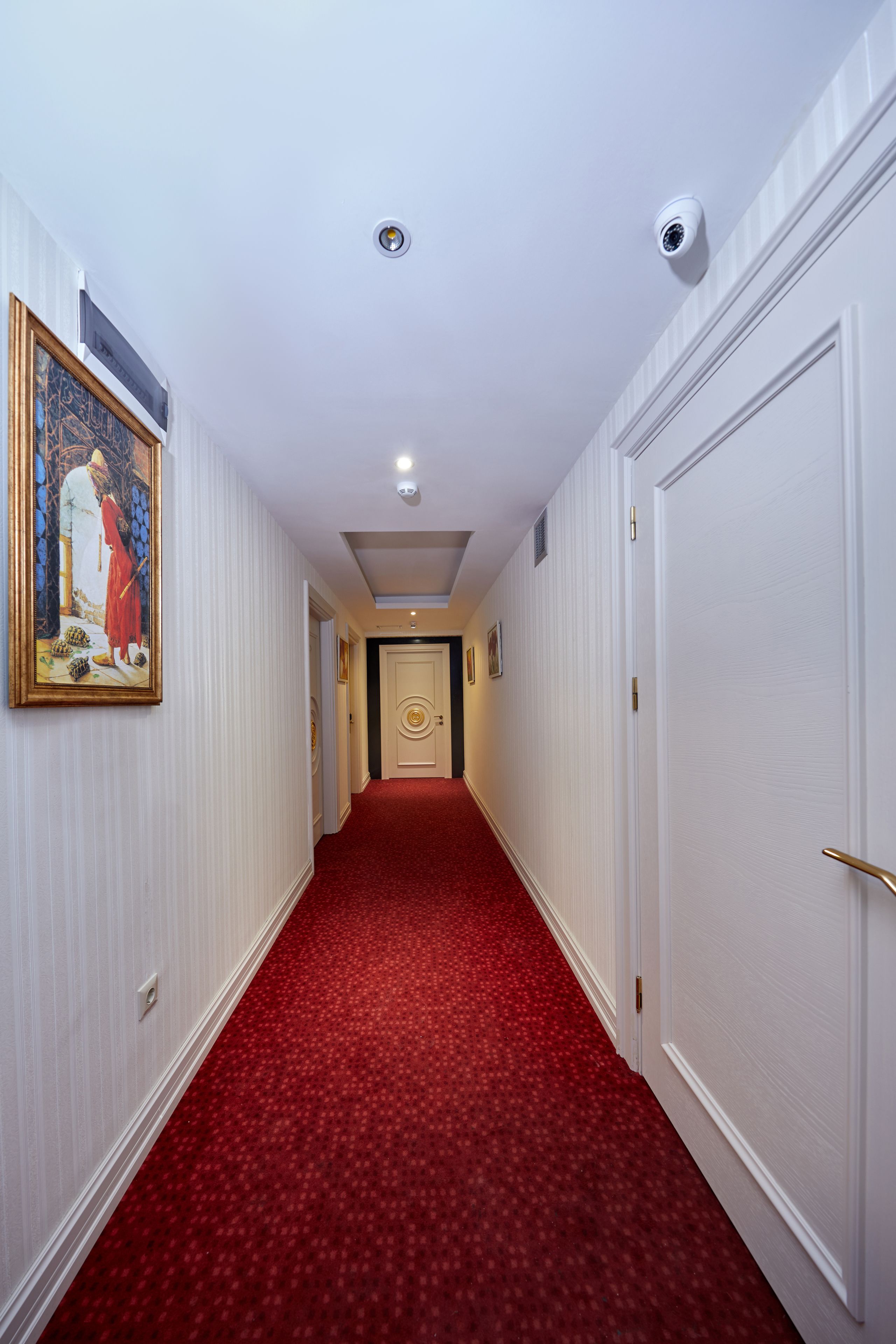 A hallway with a red carpet, white walls, and a painting on the left.