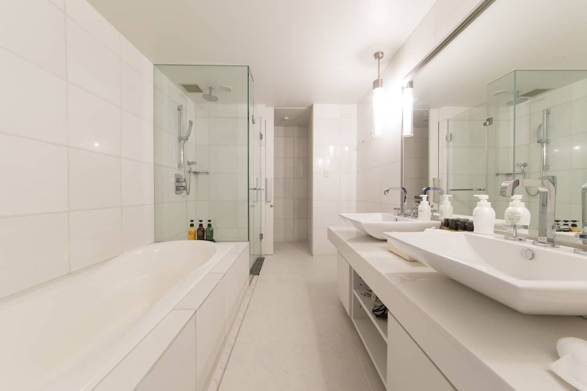 suite | bathroom | combined shower/bathtub, free toiletries, hair dryer, bidet