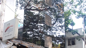 Edifici amb una gran façana de vidre, un cartell de l''Golden Swan Boutique Hotel' i una zona d'entrada coberta amb plantes en testos.