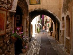 A narrow stone alleyway with arches, potted plants, and signs of local businesses.