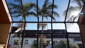 Courtyard view - Peppertree Lodge - Hostel (Paihia)