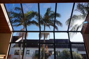 Courtyard view - Peppertree Lodge - Hostel (Paihia)