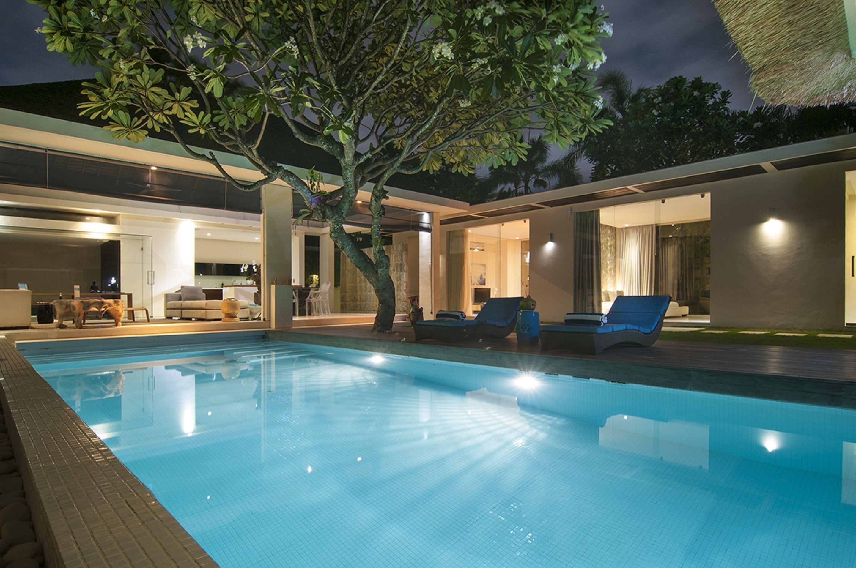 Une piscine avec des chaises longues, un arbre et une maison moderne dotée de portes vitrées.