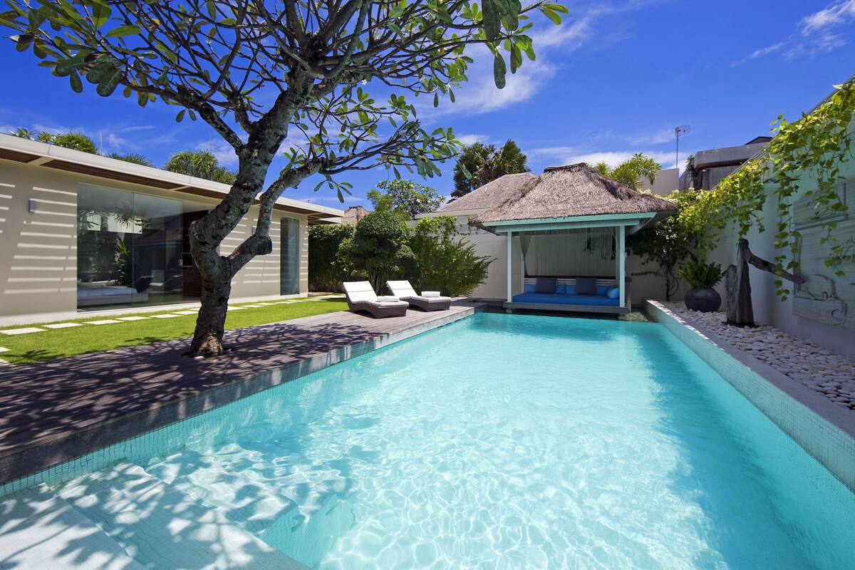 A swimming pool with lounge chairs, a thatched-roof structure, and a tree.