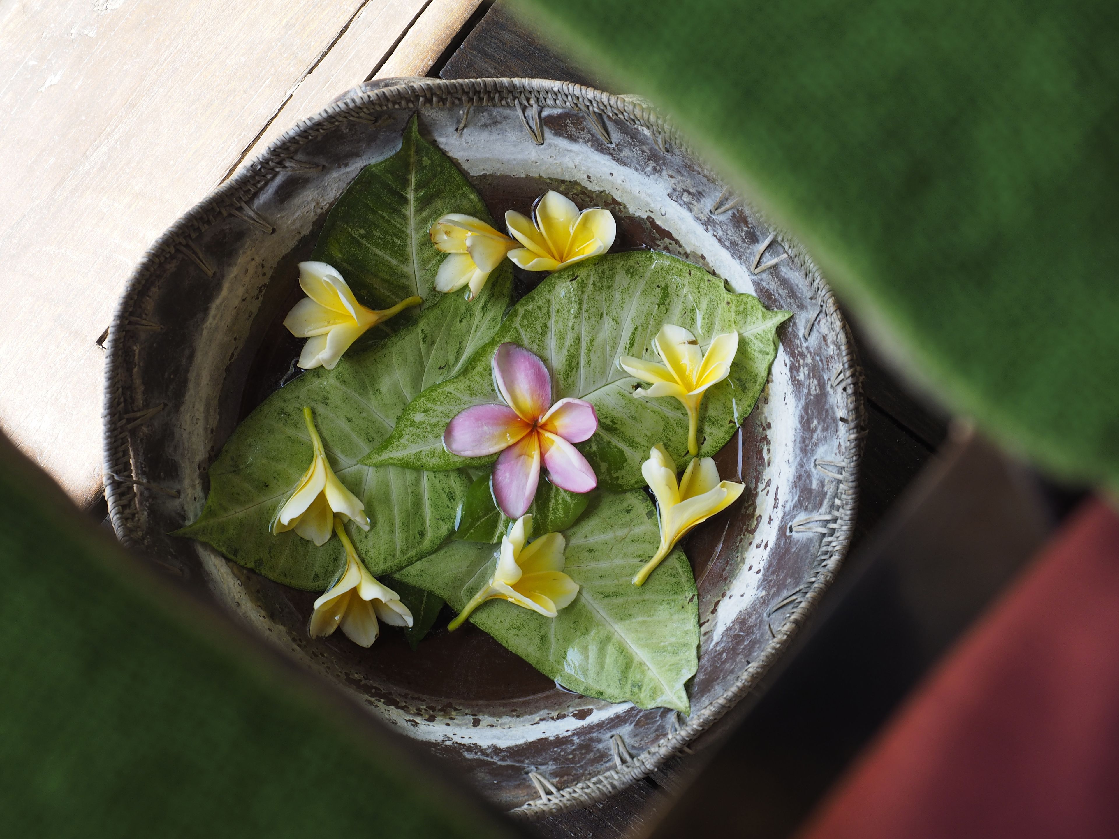 Photo - The Menjangan by LifestyleRetreats