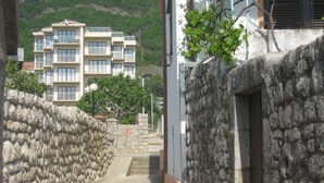 Property grounds - Villa San Marco (Becici)