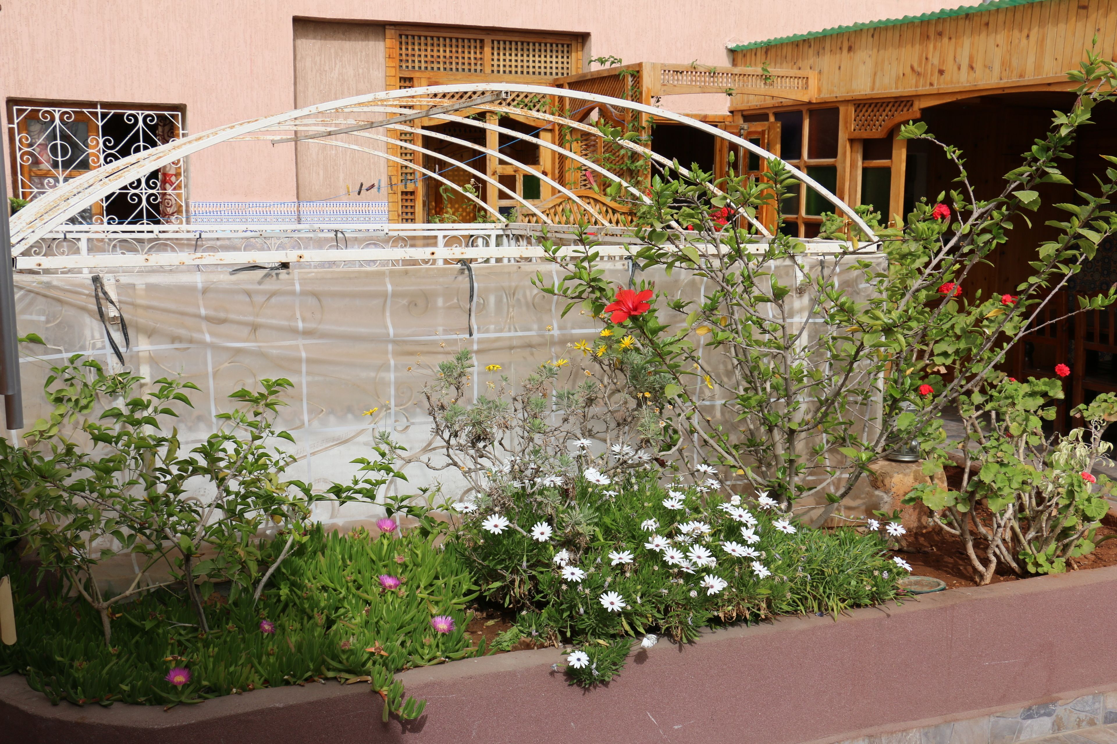 Foto - Riad Les Chtis D'Agadir