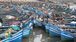 A densely packed harbor with numerous small boats, some with visible text and numbers, anchored closely together. - Riad les Chtis d'Agadir (Agadir)