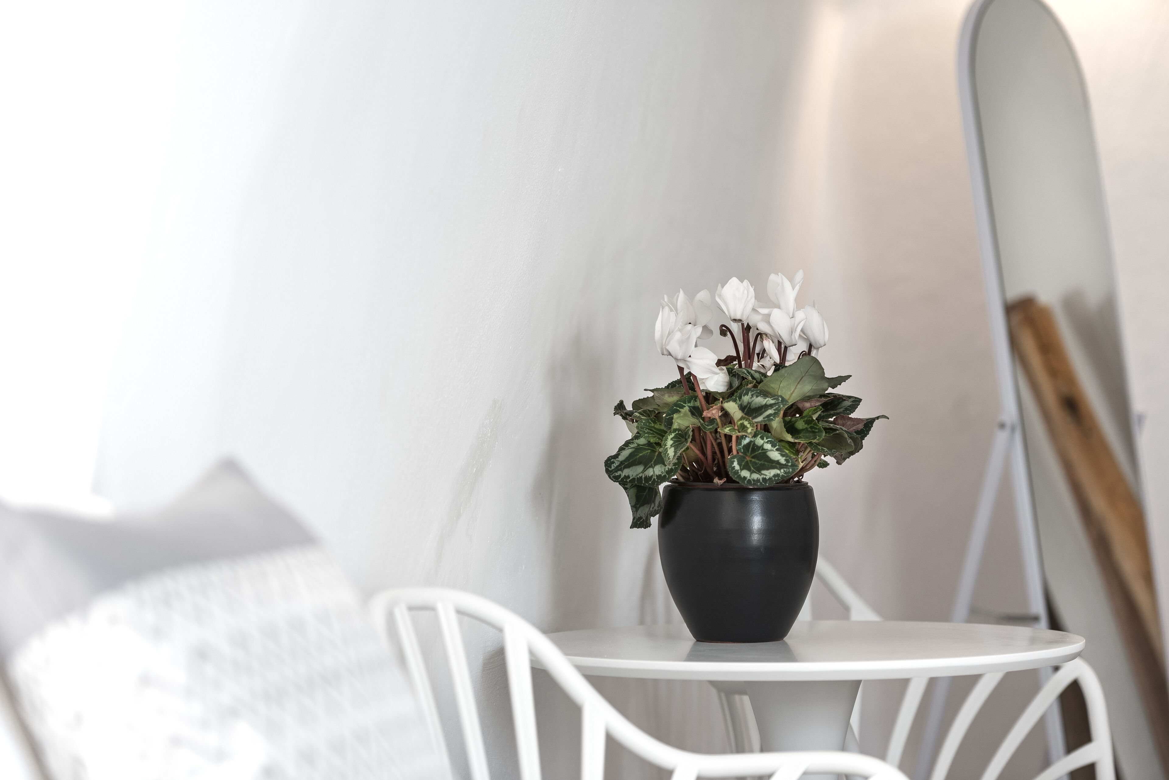 Una mesa blanca con una maceta negra llena de flores blancas.