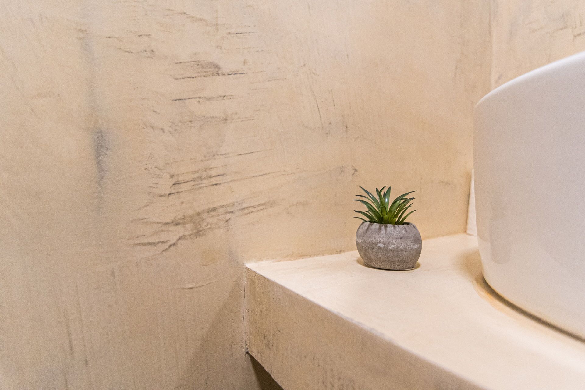 Una pequeña planta en maceta sobre una encimera de baño.
