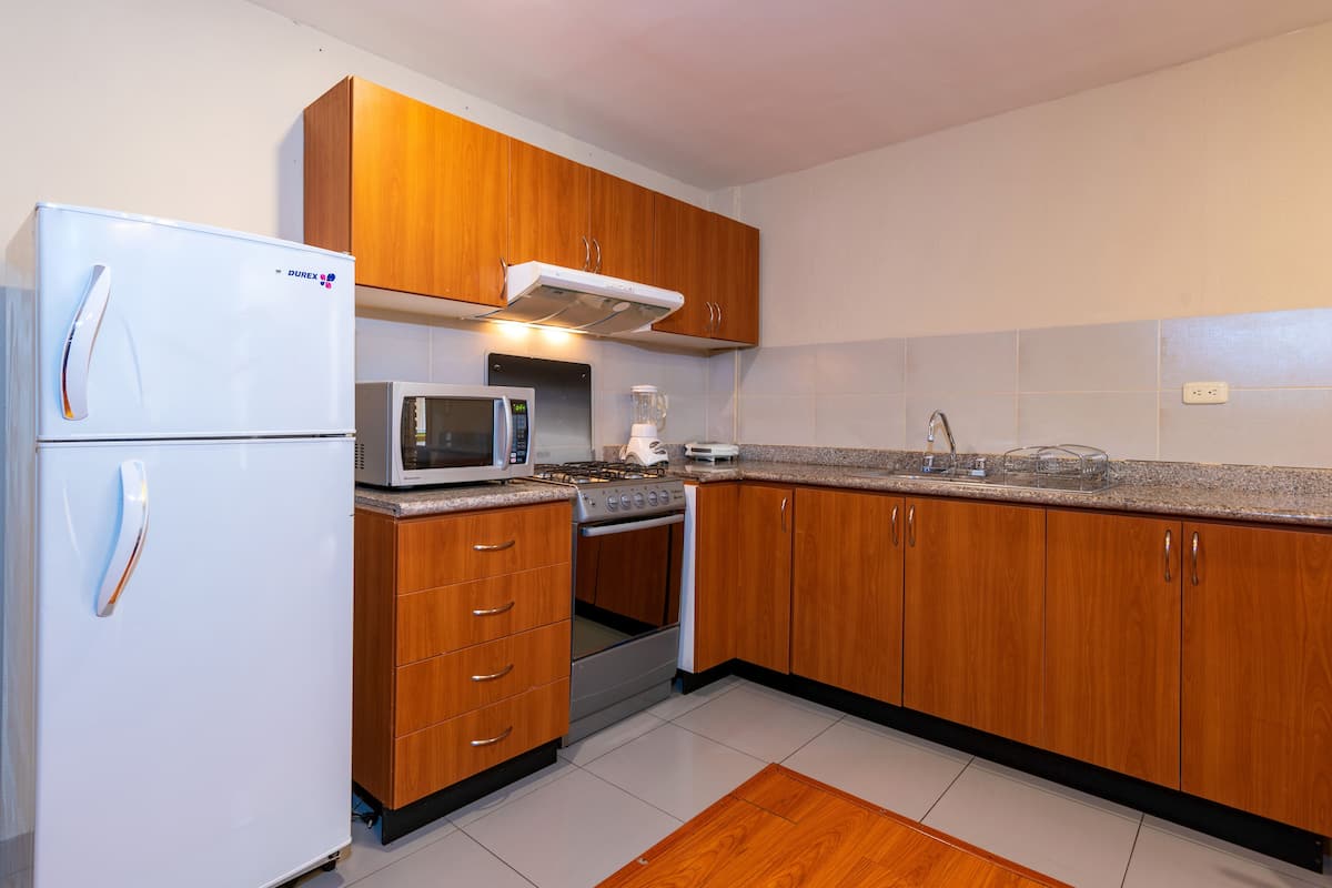apartment, 1 queen bed, kitchen | private kitchen | fridge, dishwasher, cookware/dishes/utensils