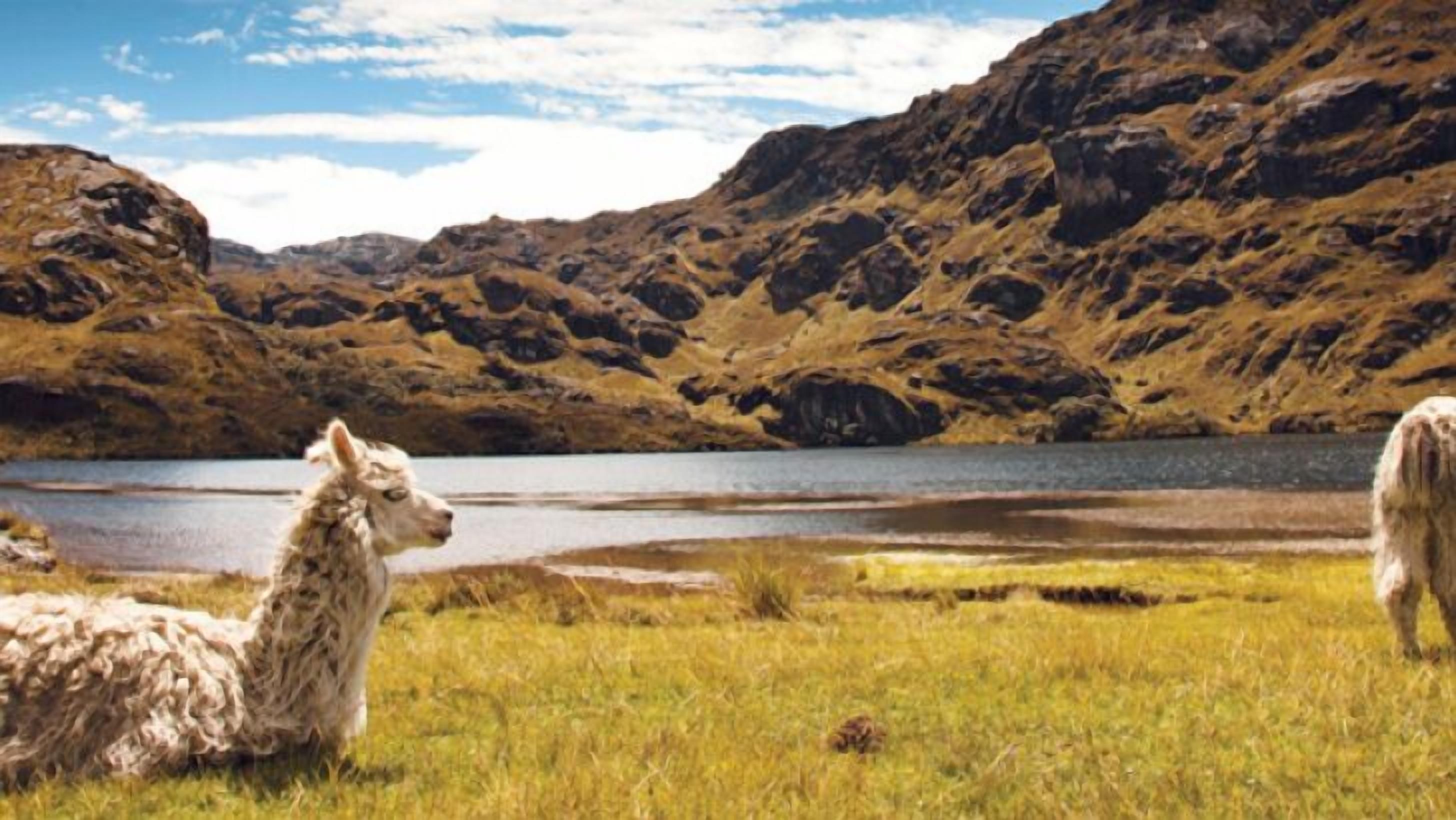 Photo - Hotel Boutique Los Balcones