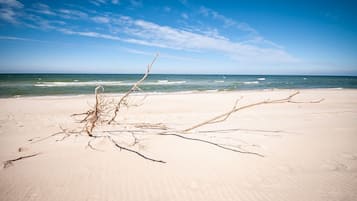 Pantai di sekitar, pasir putih, dan kursi berjemur