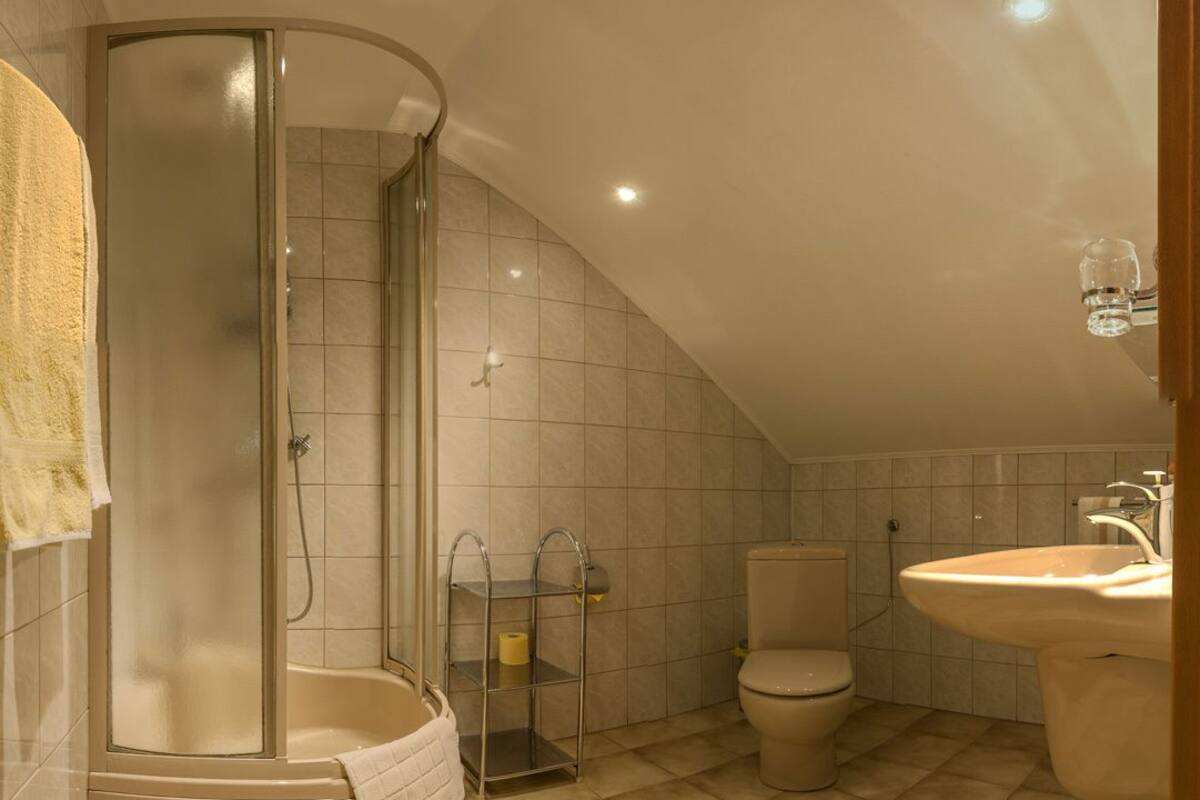 shower, free toiletries, hair dryer, towels