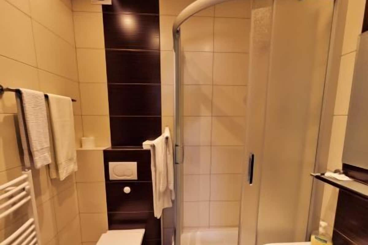 shower, free toiletries, hair dryer, towels