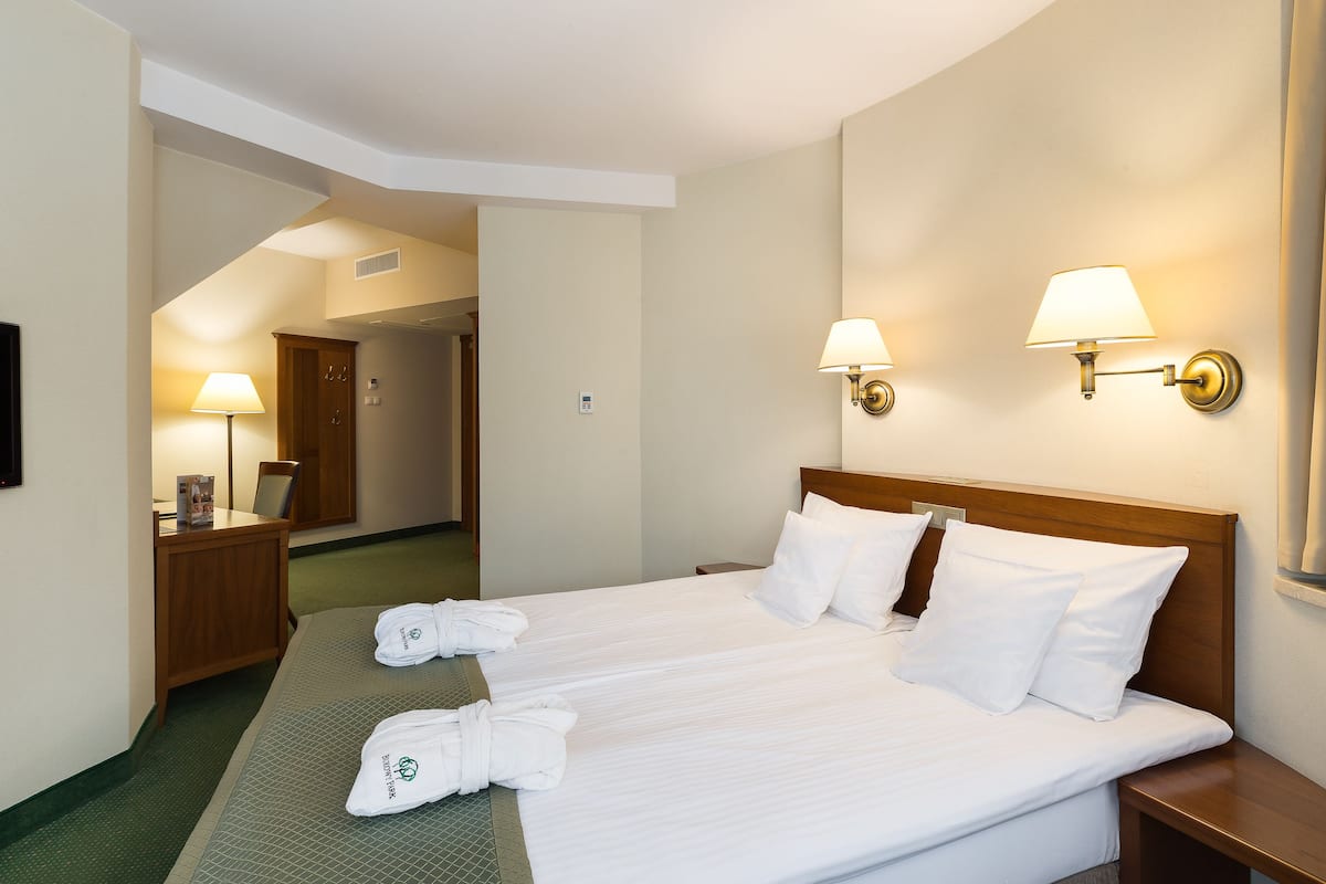 classic double or twin room | view from room