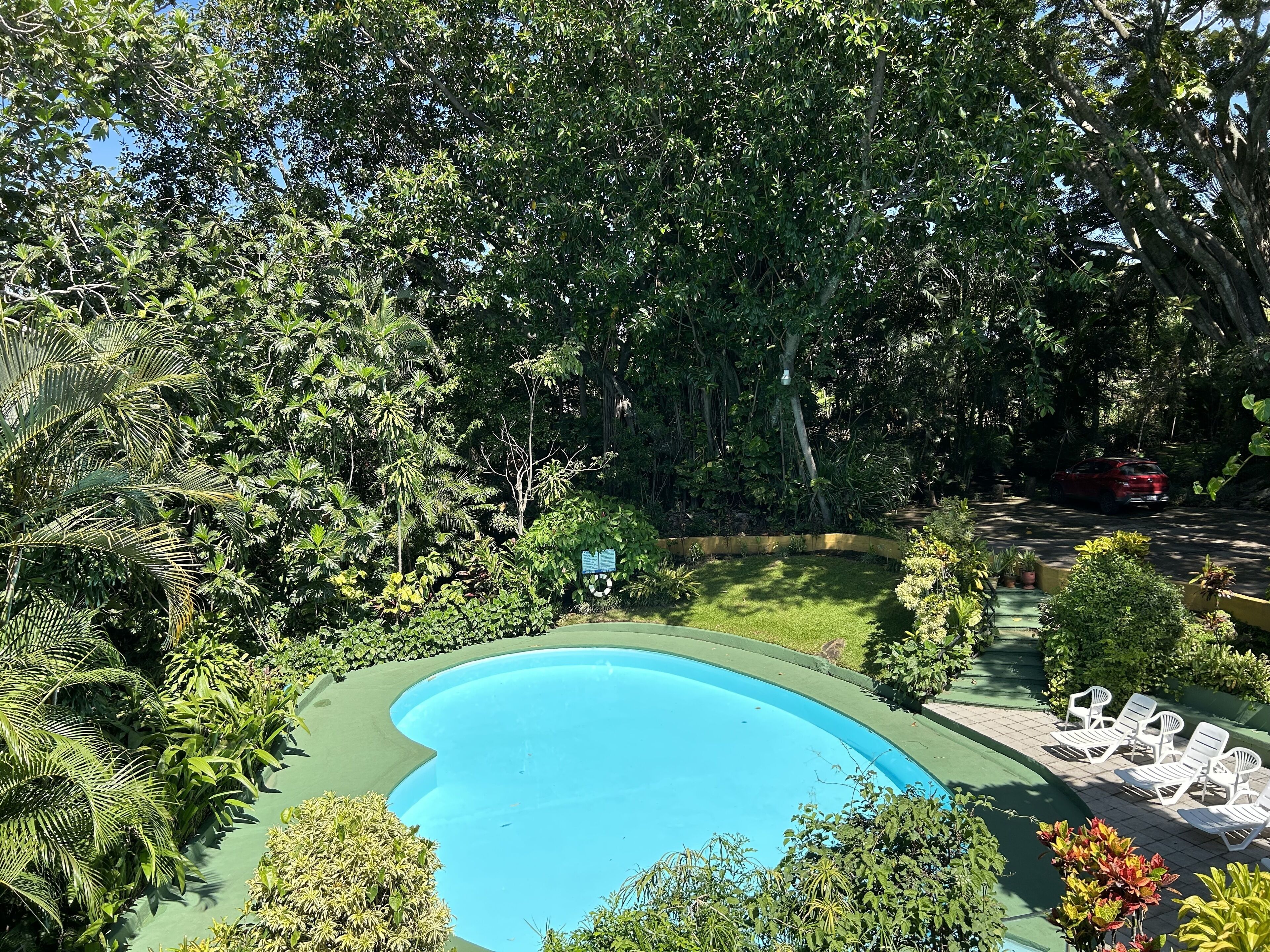 Una piscina rodeada de abundante vegetación y un coche rojo estacionado cerca.