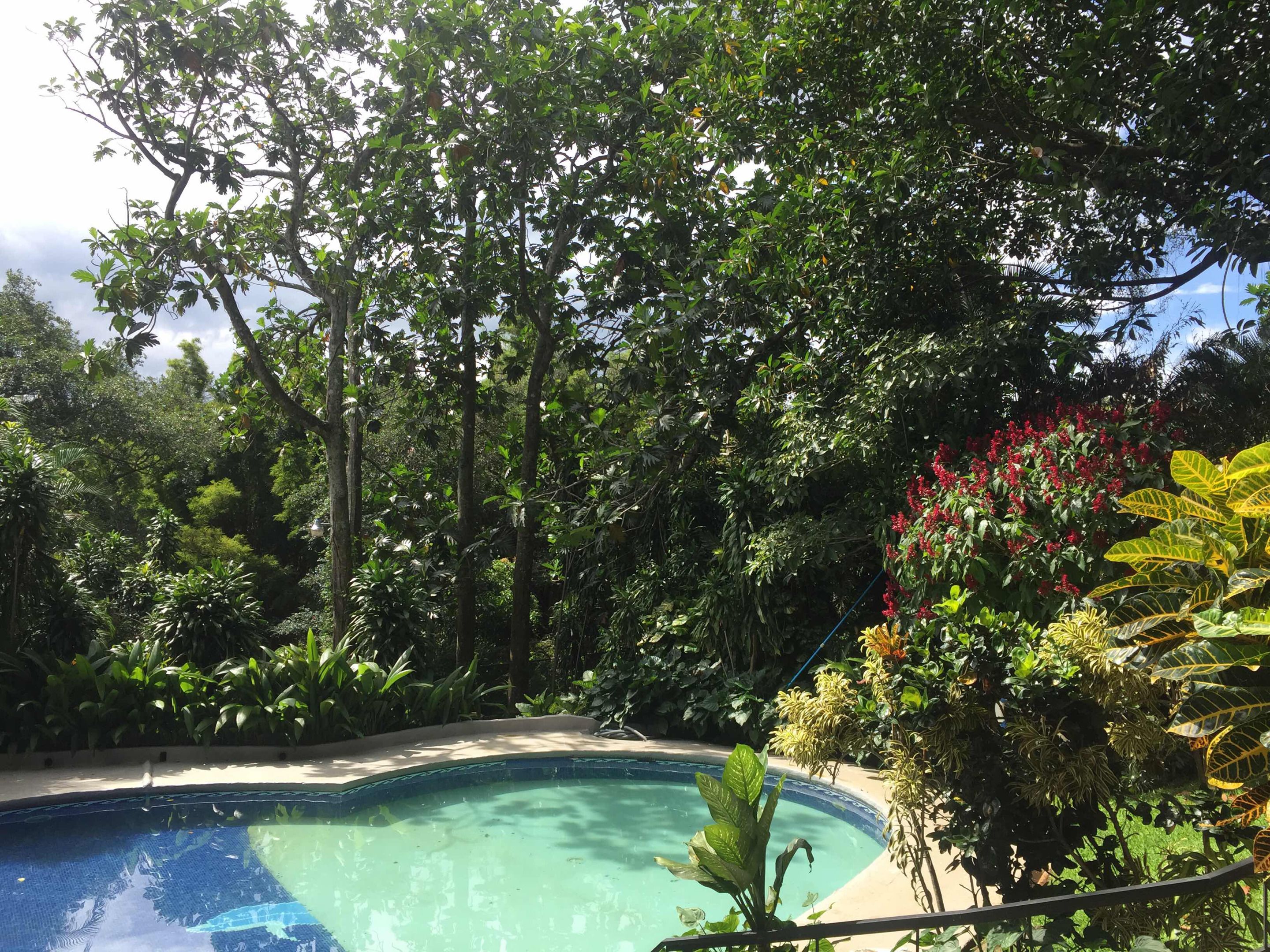 Alberca al aire libre y camastros 