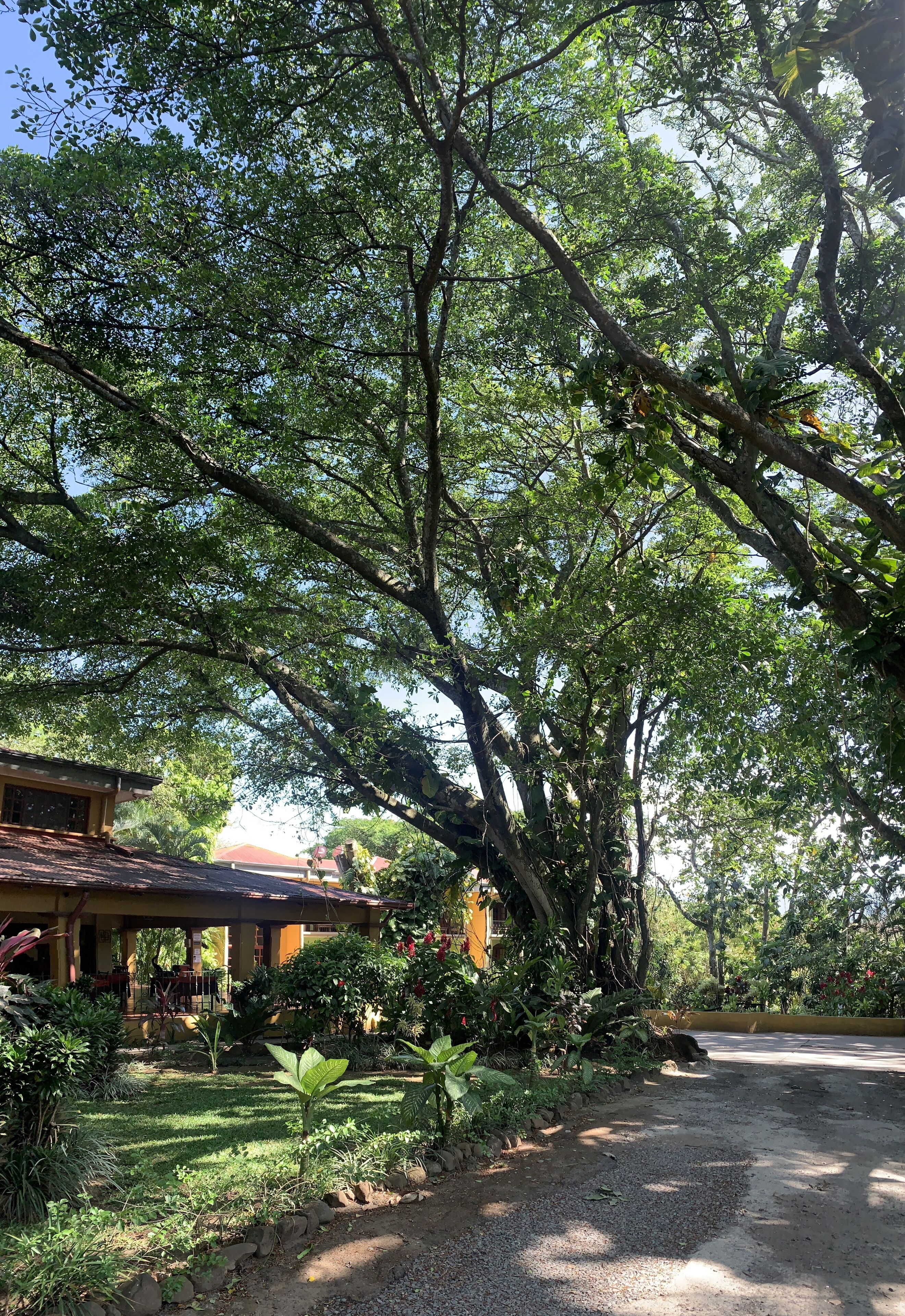 Photo - Trapp Family Country Inn