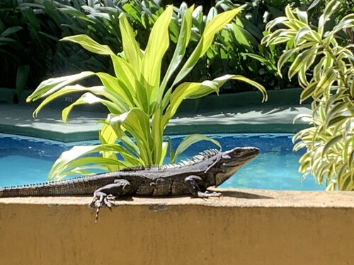 Trapp Family Country Inn