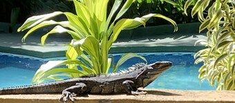 Trapp Family Country Inn