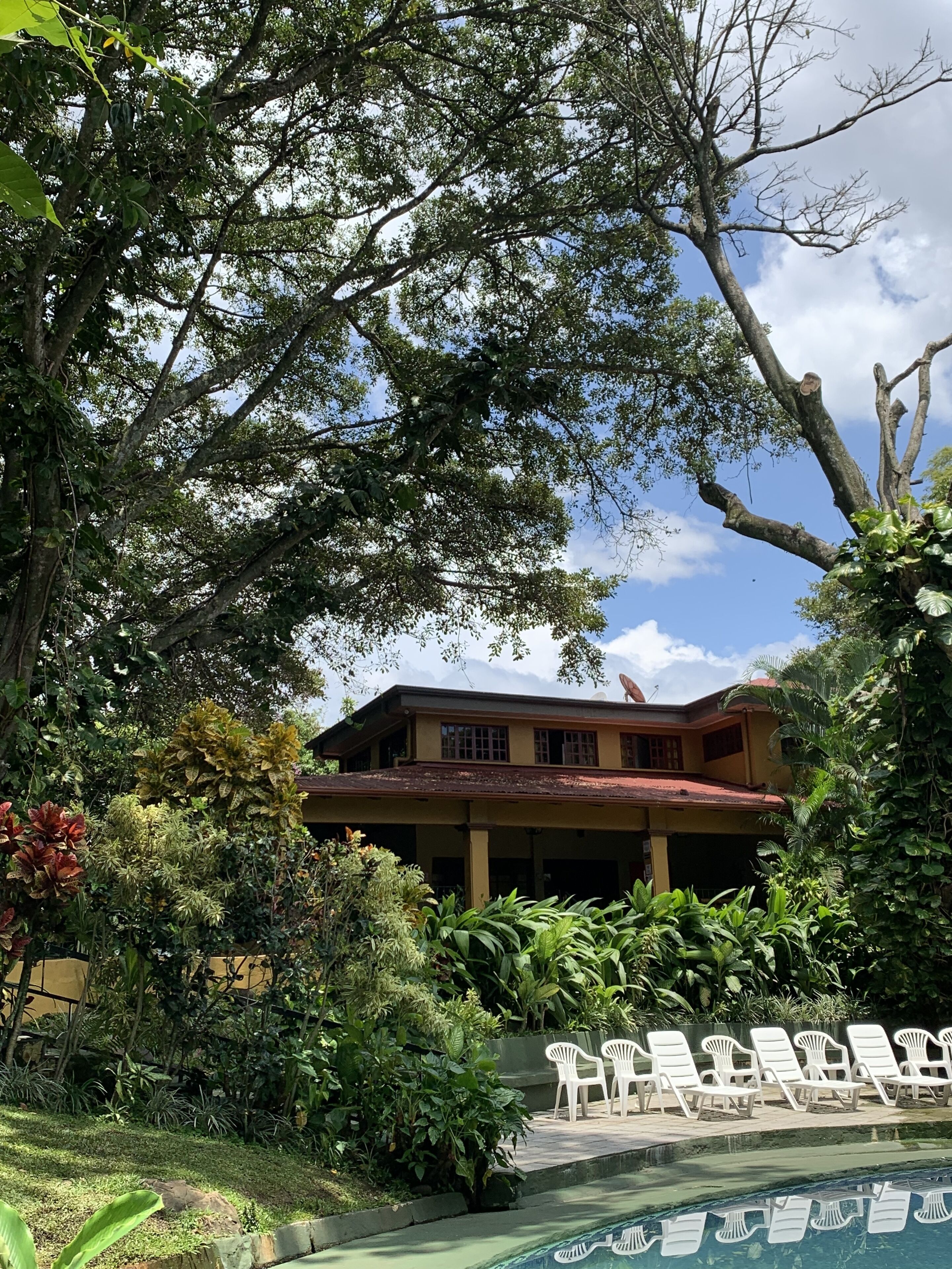 A two-story building surrounded by lush greenery, with a pool area featuring white lounge chairs.