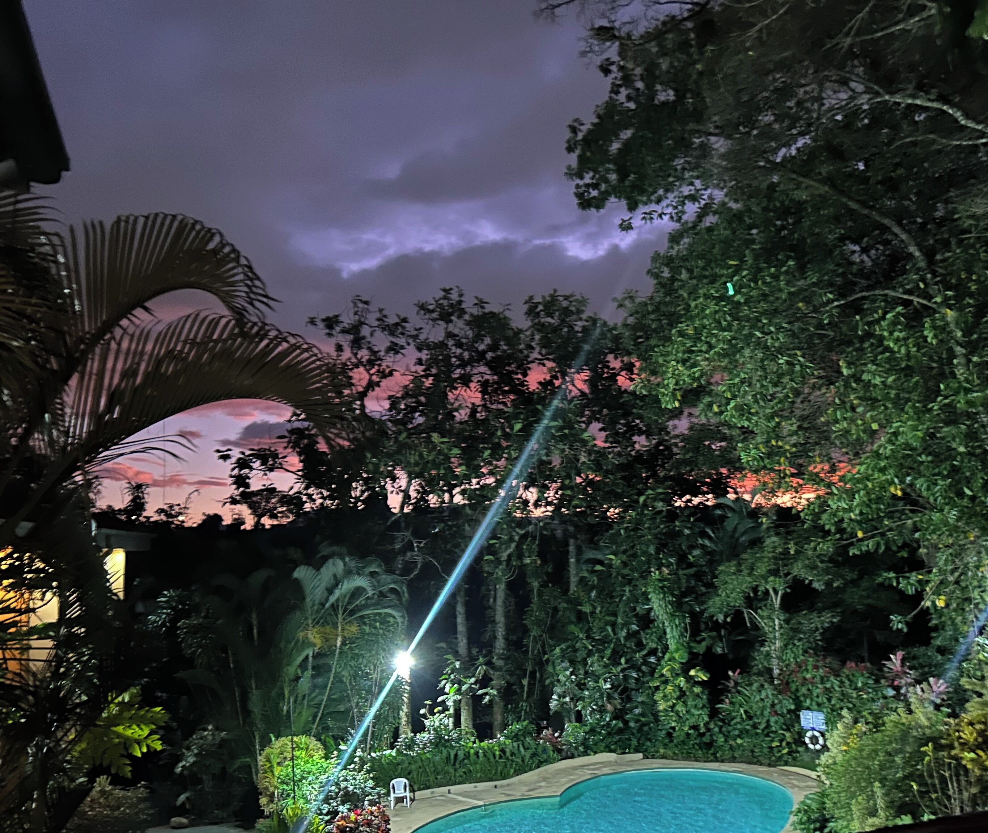 Une piscine entourée d’une végétation luxuriante, sous un ciel crépusculaire.