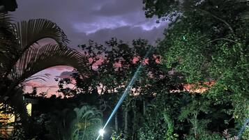 Une piscine entourée d’une végétation luxuriante, sous un ciel crépusculaire.