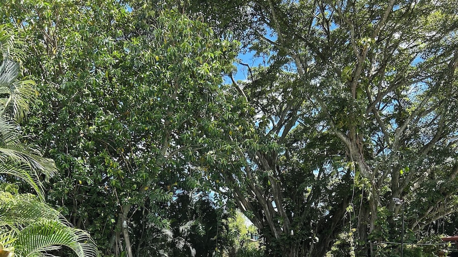 Trapp Family Country Inn