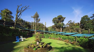 Jardín