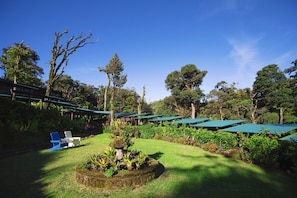 Garden - Trapp Family Lodge (Monteverde)